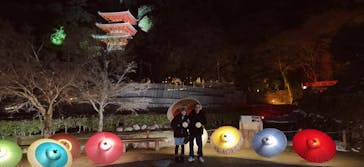 ぎふ灯り物語 ２０２６に投稿された画像（2026/2/1）