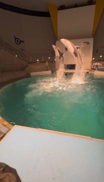 城崎マリンワールドに投稿された画像（2026/2/1）