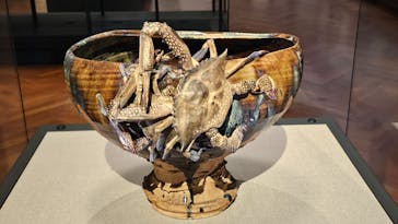 東京国立博物館に投稿された画像（2026/2/1）