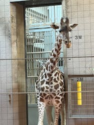 天王寺動物園に投稿された画像（2026/2/1）