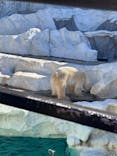恩賜上野動物園に投稿された画像（2026/2/1）