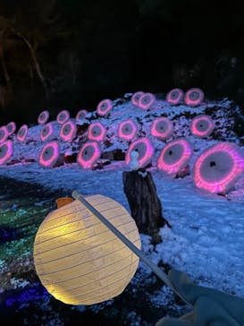 ぎふ灯り物語 ２０２６に投稿された画像（2026/2/1）