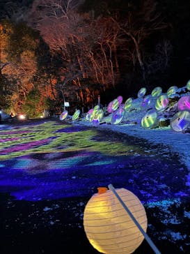 ぎふ灯り物語 ２０２６に投稿された画像（2026/2/1）