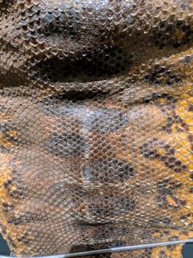 沖縄県立博物館・美術館〔おきみゅー〕に投稿された画像（2026/2/1）