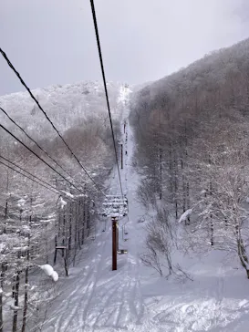 会津高原たかつえスキー場に投稿された画像（2026/2/1）