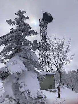 会津高原たかつえスキー場に投稿された画像（2026/2/1）