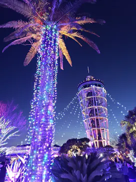 江の島シーキャンドルに投稿された画像（2026/2/1）