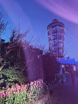 江の島シーキャンドルに投稿された画像（2026/2/1）