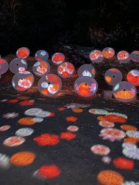 ぎふ灯り物語 ２０２６に投稿された画像（2026/2/1）