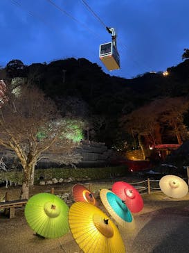 ぎふ灯り物語 ２０２６に投稿された画像（2026/2/1）