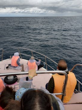 マリンクラブ ベリー 那覇店に投稿された画像（2026/2/1）