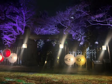 ぎふ灯り物語 ２０２６に投稿された画像（2026/2/1）