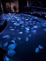 すみだ水族館に投稿された画像（2026/2/1）