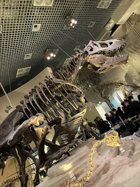 特別展「大絶滅展―生命史のビッグファイブ」に投稿された画像（2026/2/1）