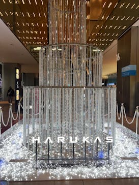 ハルカス300(展望台)に投稿された画像（2026/2/1）