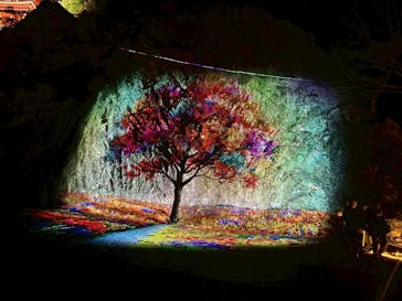 ぎふ灯り物語 ２０２６に投稿された画像（2026/2/1）