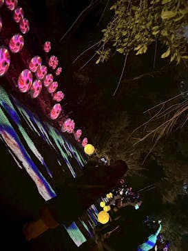 ぎふ灯り物語 ２０２６に投稿された画像（2026/2/1）