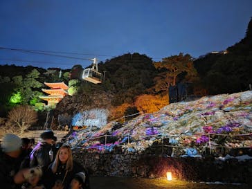 ぎふ灯り物語 ２０２６に投稿された画像（2026/2/1）