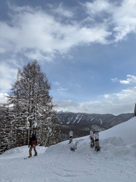 水上高原 藤原スキー場に投稿された画像（2026/2/1）
