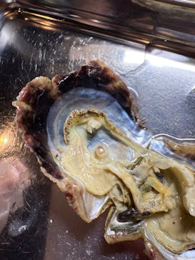 三重県真珠に投稿された画像（2026/2/1）