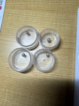 三重県真珠に投稿された画像（2026/2/1）