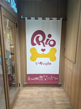 いぬカフェRio 浅草店に投稿された画像（2026/2/1）