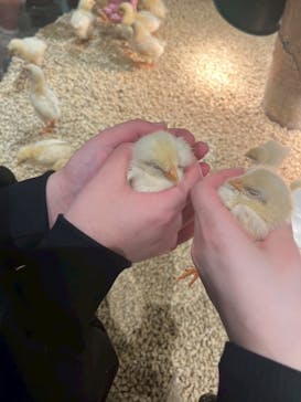 Moff animal cafe イオンモール新利府店に投稿された画像（2026/2/1）