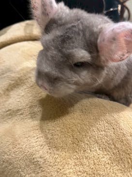 Moff animal cafe イオンモール新利府店に投稿された画像（2026/2/1）