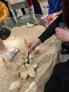 Moff animal cafe イオンモール新利府店に投稿された画像（2026/2/1）