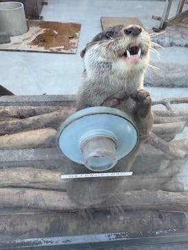 横浜・八景島シーパラダイスに投稿された画像（2026/2/1）