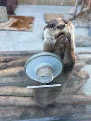 横浜・八景島シーパラダイスに投稿された画像（2026/2/1）