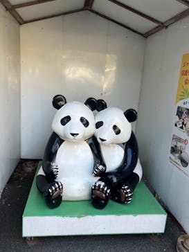 恩賜上野動物園に投稿された画像（2026/2/1）