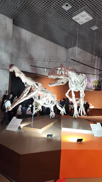 特別展「大絶滅展―生命史のビッグファイブ」に投稿された画像（2026/2/1）