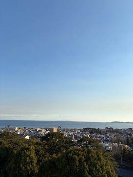 小田原城に投稿された画像（2026/2/1）