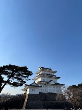 小田原城に投稿された画像（2026/2/1）