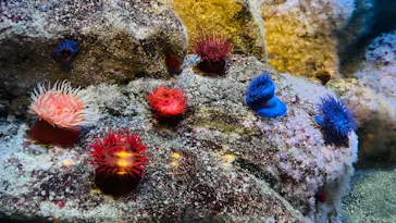 葛西臨海水族園に投稿された画像（2026/2/2）