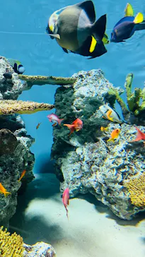 葛西臨海水族園に投稿された画像（2026/2/2）