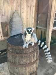 伊豆アニマルキングダムに投稿された画像（2026/2/2）