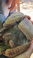 伊豆アニマルキングダムに投稿された画像（2026/2/2）