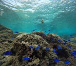 武藤潜水に投稿された画像（2026/2/2）