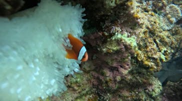 武藤潜水に投稿された画像（2026/2/2）