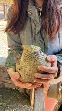 伊豆アニマルキングダムに投稿された画像（2026/2/2）