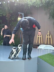 マクセル アクアパーク品川に投稿された画像（2026/2/2）