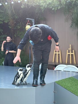 マクセル アクアパーク品川に投稿された画像（2026/2/2）