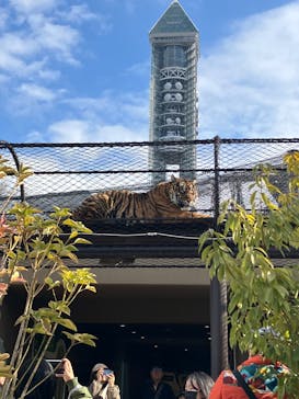 名古屋市東山動植物園に投稿された画像（2026/2/2）