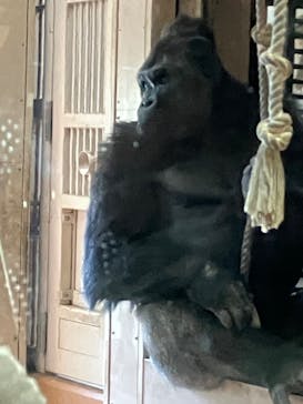 名古屋市東山動植物園に投稿された画像（2026/2/2）