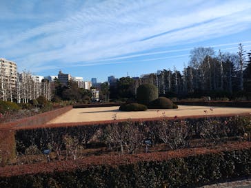 新宿御苑に投稿された画像（2026/2/2）