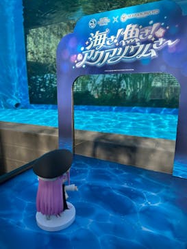サンシャイン水族館に投稿された画像（2026/2/2）