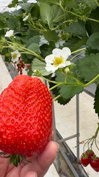 株式会社こまち野に投稿された画像（2026/2/2）