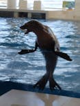 アクアワールド茨城県大洗水族館に投稿された画像（2026/2/2）